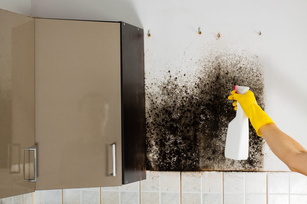 Person in a yellow glove sprays cleaning solution on kitchen wall with black mold growth, illustrating residential mold testing and removal.