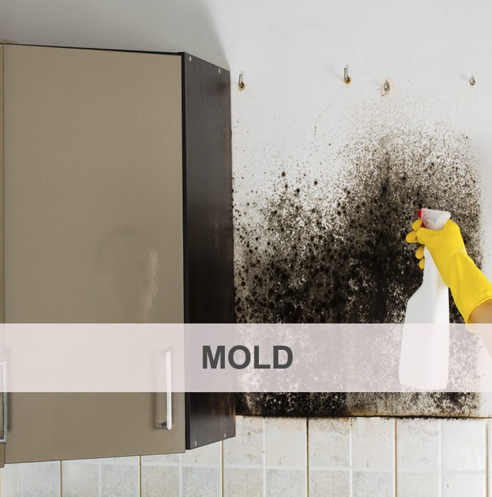 Natural Solutions To Mold Disease