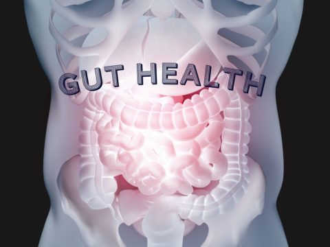 Curated visual reference: Picture Idea: The Gut Thyroid Connection Understanding Its Importance